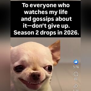 Meet your Posher, JJ!